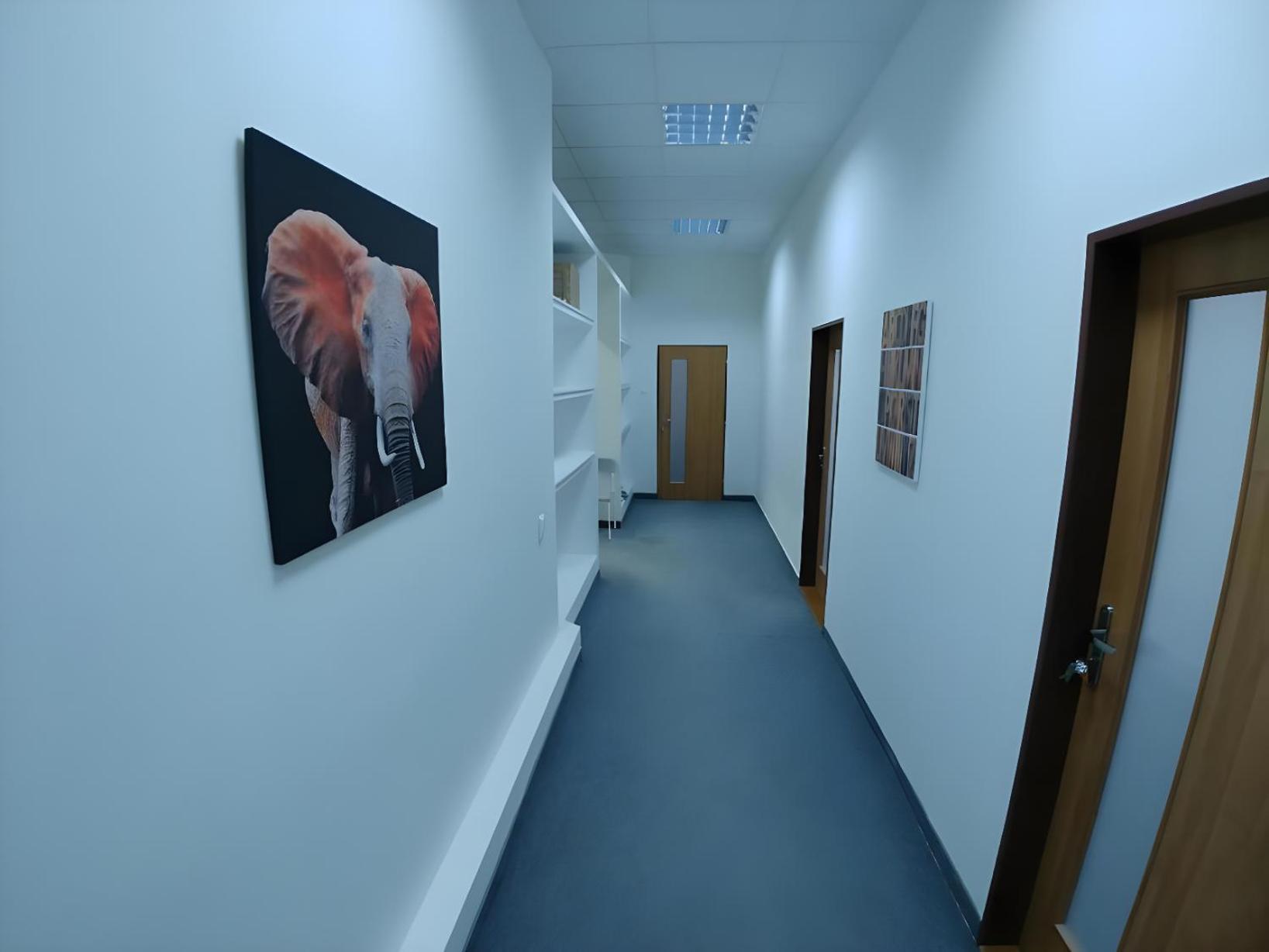 Rooms Veveri - Uvoz, 10 Min Peski Do Centru เบอร์โน ภายนอก รูปภาพ